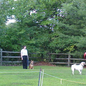 Luis working with Brody in class
