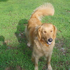 Sally enjoying the sun!
